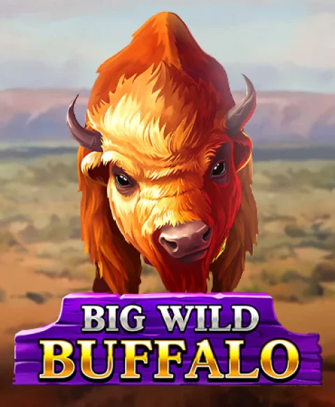 Play Big Wild Buffalo at Bertil Casino